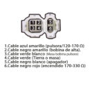501 Brasil XLR 125 Hero 100 Splendor