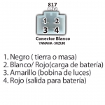 FICHA TECNICA 817 a reg rect ybr 125