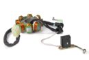 616 Estator de Bobinas Pulsar 180 UG
