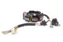600 Estator de Bobinas Crypton 110