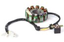 629 Estator de Bobinas PULSAR 200 NS
